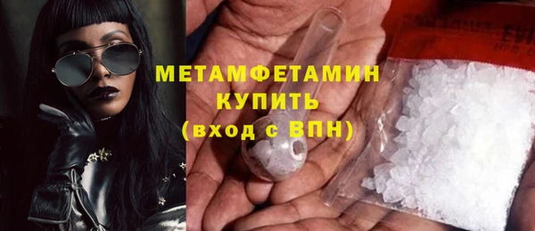 прущие грибы Мегион