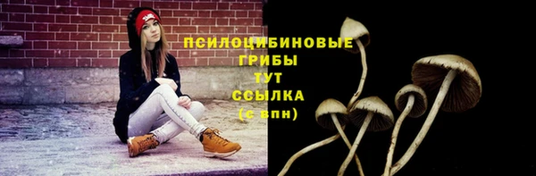 прущие грибы Мегион