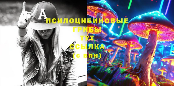 прущие грибы Мегион