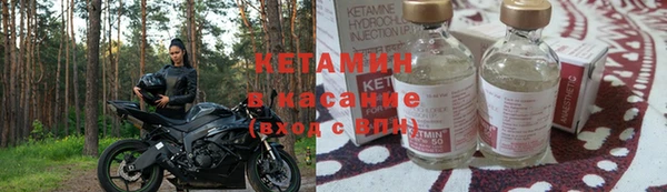 прущие грибы Мегион